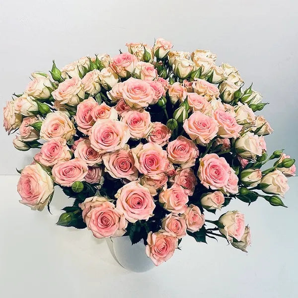 Bout de banc, bouquet de gypsophile et Roses branchues