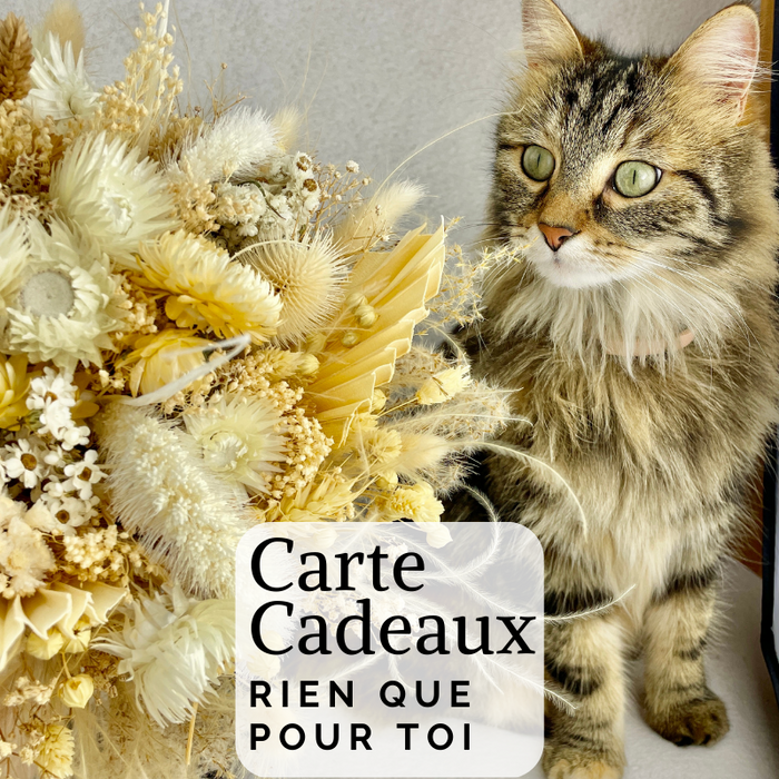 Carte Cadeau