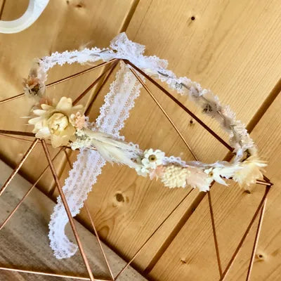 ixodia ixodia séchée fleur séchée fleur marguerite ixodia blanc séché ixodia séchée blanc naturel botte de fleurs séchées ixodia séché blanc botte botte séché ixodia blanche 