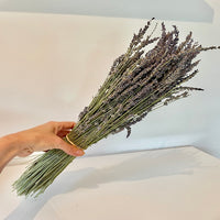 lavande, lavande vraie, lavande en port, lavande aspic, lavande papillon, lavande officinale, bouquet de lavande, botte de lavande, lavande, fleurs séchées, lavande séchées, lavande fleurs, fleurs violettes, fleurs séchées violettes, lavande provence, bouquet de lavande de provence, botte de lavande de provence