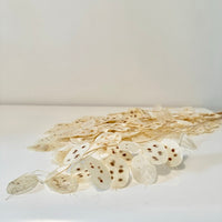 lunaria, lunaria annua, fleur du pape, la monnaie du pape séchées, monnaie du pape, couille du pape, fleurs séchées, bottes de fleurs séchées, botte fleur séchée, botte monnaie du pape, botte lunaria annua, fleur plate, fleurs plates, fleurs blanches, fleurs séchées blanches, la monnaie du pape fleur, lunaria annua blanche, monnaie du pape blanche