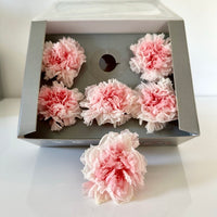 Oeillet, oeillet stabilisé, fleurs stabilisés, fleurs éternelles, oeillet fleur, fleurs séchées, petite fleur, petite fleur ronde, tête œillet stabilisée, tête œillets stabilisées, oeillet rose, fleur éternelle