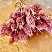 Phalaris, bouquet de phalaris, bottes fleurs séchées, fleurs séchées, DIY, fleurs naturels, phalaris, rose, phalaris, rose pale, phalaris naturel, phalaris orange, phalaris milka, phalaris violet, phalaris rouge, fleur séchée phalaris