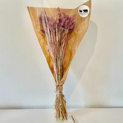 Phalaris, bouquet de phalaris, bottes fleurs séchées, fleurs séchées, DIY, fleurs naturels, phalaris, rose, phalaris, rose pale, phalaris naturel, phalaris orange, phalaris milka, phalaris violet, phalaris rouge, fleur séchée phalaris