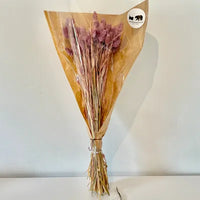 Phalaris, bouquet de phalaris, bottes fleurs séchées, fleurs séchées, DIY, fleurs naturels, phalaris, rose, phalaris, rose pale, phalaris naturel, phalaris orange, phalaris milka, phalaris violet, phalaris rouge, fleur séchée phalaris