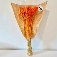 Phalaris, bouquet de phalaris, bottes fleurs séchées, fleurs séchées, DIY, fleurs naturels, phalaris, rose, phalaris, rose pale, phalaris naturel, phalaris orange, phalaris milka, phalaris violet, phalaris rouge, fleur séchée phalaris