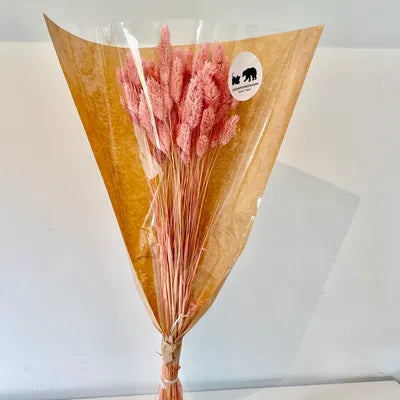 Phalaris, bouquet de phalaris, bottes fleurs séchées, fleurs séchées, DIY, fleurs naturels, phalaris, rose, phalaris, rose pale, phalaris naturel, phalaris orange, phalaris milka, phalaris violet, phalaris rouge, fleur séchée phalaris