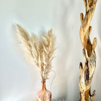 plume de pampas, plume pampa, plumes de pampas, plumes pampas, plumes, plumes blanches, plumes naturel, plume de pampas naturel, plumes de pampas blanche, plumes naturel, plume déco, plume maison