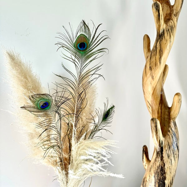 plume de paon, plume de paon fleuriste, plume de paon déco, plume de paon maison, plume de paon naturel, plume de paon séchées, botte plume de paon, lot plumes de paon, plumes, botte de fleurs séchées, fleurs séchées, plumes de paon, plume chic