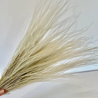 herbe séchée herbe séchée stipa pennata herbe séchée deco herbe sèche herbes séchées italienne Fleurs séchées déco plume herbe herbe sèche nature 50g Fleurs séchées  - acheter pas cher en ligne Tiges Plumeau Séché Herbe Pampa Naturelle stipa pennata petite herbe plumeuse fleurs séchées plumes